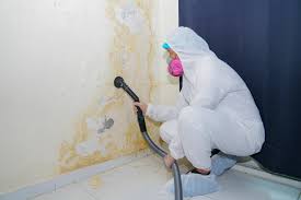 Best Real Estate Mold Inspection  in Ainsworth, NE